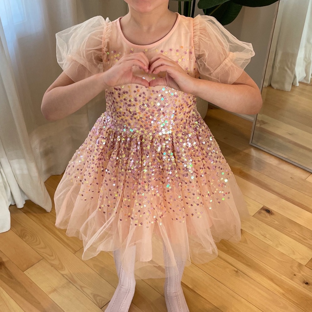 Heritage Pink Sequin Tulle Dress